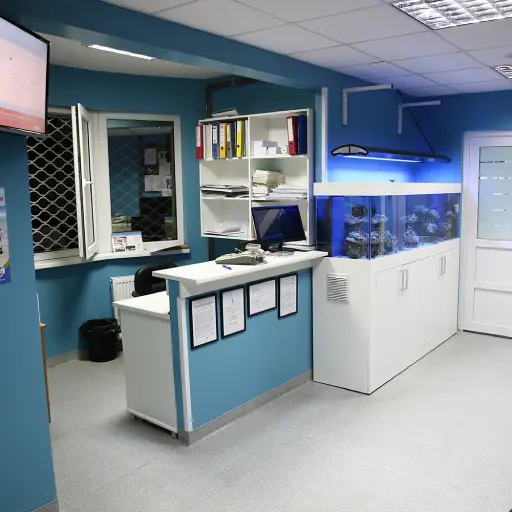 Moderna veterinarska ambulanta sa recepcijom, policama, akvarijumom i urednim, osvetljenim prostorom.
