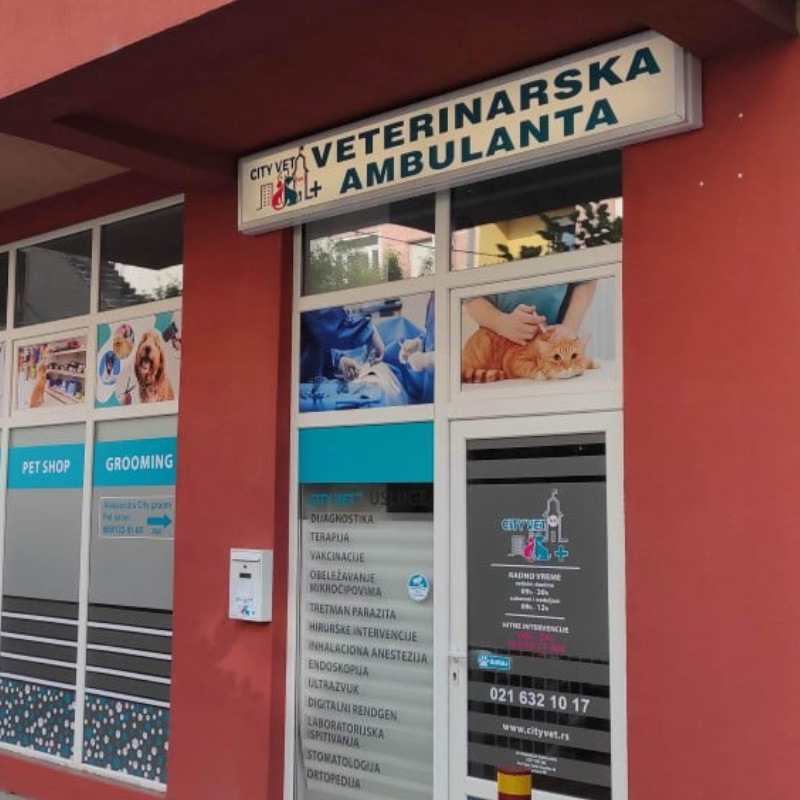 Ulaz u City Vet veterinarsku ambulantu u Novom Sadu