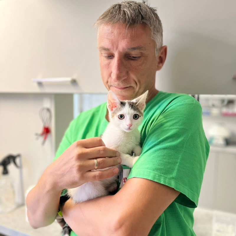 Rastko u zelenoj majici drži belo-mačkasto mače u naručju u veterinarskoj ordinaciji.