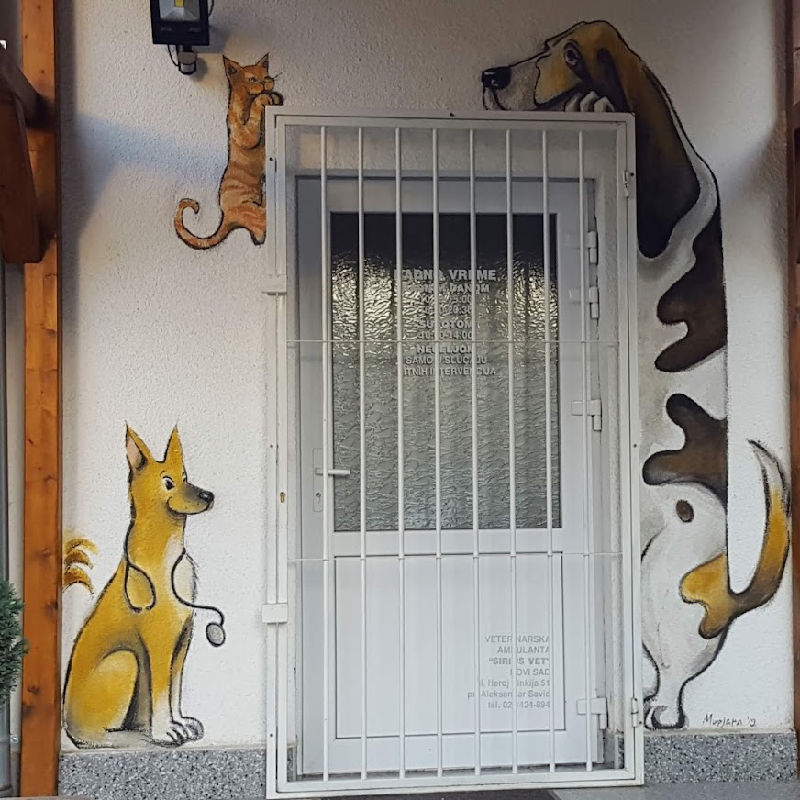 Šarena mural slika psa, mačke i srećnog psa pored ulaza u veterinarsku ambulantu Sirius Vet.
